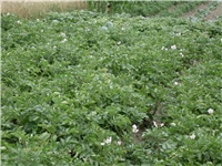 d73de865-Picture 045.jpg